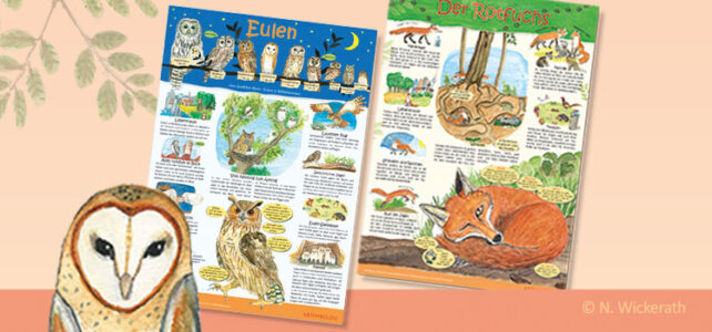 Fuchs und Eulen Poster